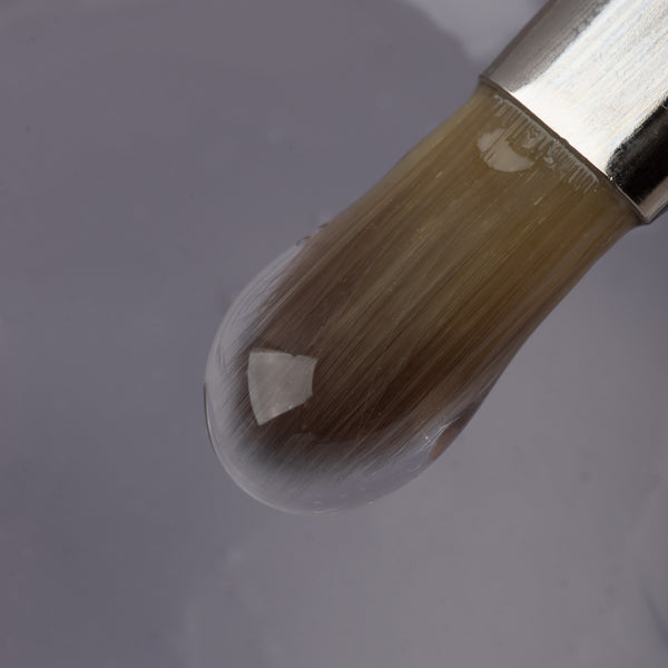 Builder - Clear TPO Free