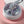 Builder - Pailettes TPO Free